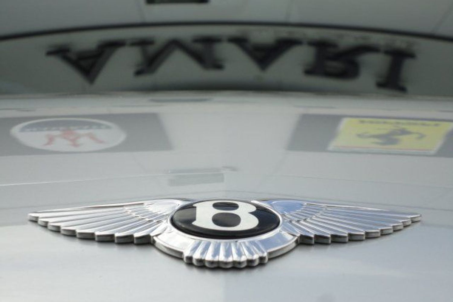 BENTLEY GT Continental "Beautiful Bentley"